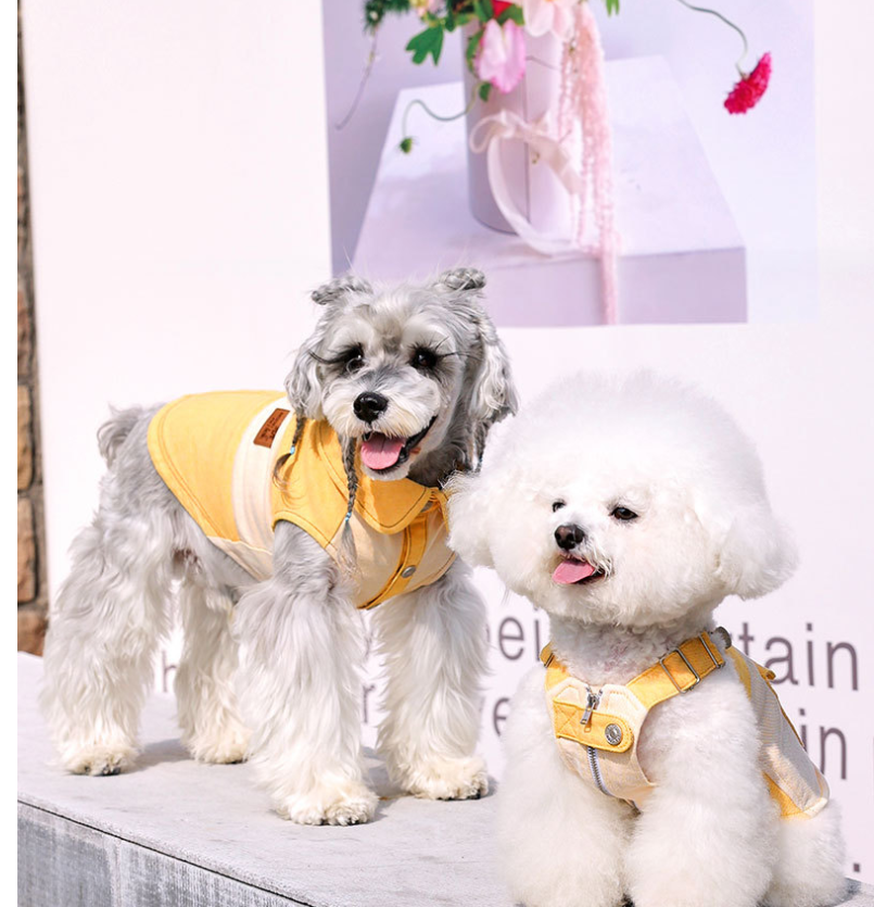 HKM-0807485 Casual Yellow Pet Clothing for Small Dogs - Bichon, Yorkshire, Schnauzer Sizes XXS to XXL