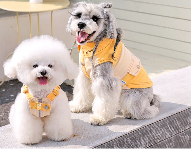HKM-0807485 Casual Yellow Pet Clothing for Small Dogs - Bichon, Yorkshire, Schnauzer Sizes XXS to XXL