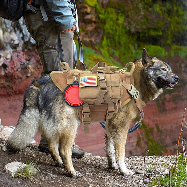 HKM-0807997 Malinois Dog Training Vest with Leash and Backpack - Available in Brown, Green, and Black