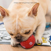 HKM-0810173 Festive Interactive Dog Toy Balls for Chewing, Tooth Cleaning, and Playtime Fun