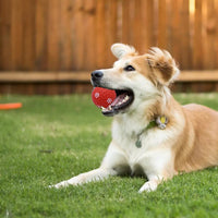 HKM-0810173 Festive Interactive Dog Toy Balls for Chewing, Tooth Cleaning, and Playtime Fun