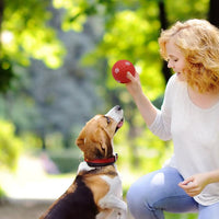 HKM-0810173 Festive Interactive Dog Toy Balls for Chewing, Tooth Cleaning, and Playtime Fun