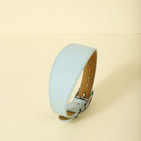 HKM-0810685 Casual Adjustable Pet Collar in Monochrome Colors - Black, Red, Light Green, Gray, Light Blue, Light Pink