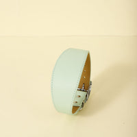 HKM-0810685 Casual Adjustable Pet Collar in Monochrome Colors - Black, Red, Light Green, Gray, Light Blue, Light Pink