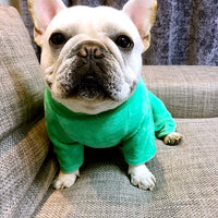 HKM-0815037 Warm Pure Cotton Dog Sweater - Four-Legged Clothes in Green, Pink, and Orange