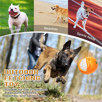 HKM-0817085 Durable Interactive Squeaky Dog Toy with Built-in Sound Whistle for Medium to Large Chewers
