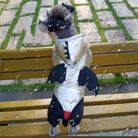 HKM-0818877 Halloween Bat-Inspired Pet Costume in Silver Cotton – Sizes S to XXL