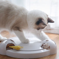 HKM-0819261 Auto-Rotating Electric Cat and Mouse Play Turntable Toy, Durable ABS Material, 0.68 Weight