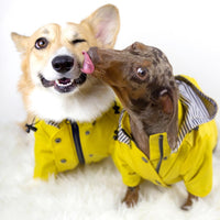 HKM-0821821 Yellow Waterproof Dog Raincoat with Breathable Cotton Lining - Available in Multiple Sizes