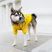 HKM-0821821 Yellow Waterproof Dog Raincoat with Breathable Cotton Lining - Available in Multiple Sizes