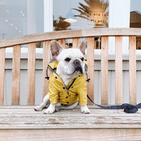 HKM-0821821 Yellow Waterproof Dog Raincoat with Breathable Cotton Lining - Available in Multiple Sizes