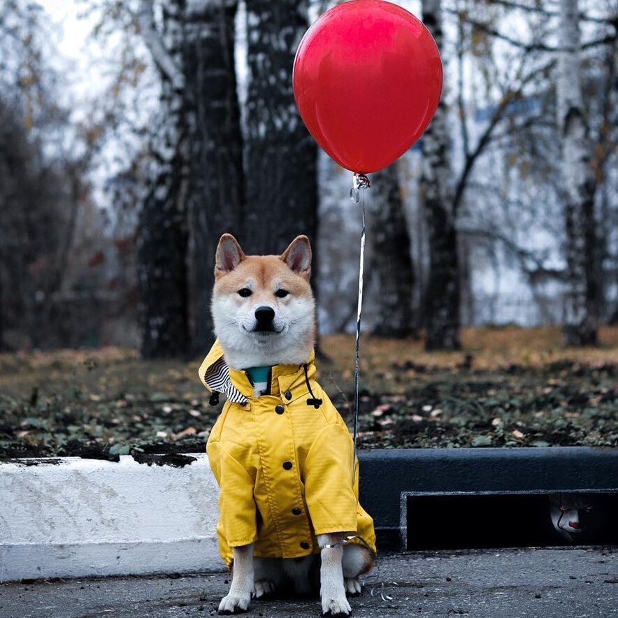 HKM-0821821 Yellow Waterproof Dog Raincoat with Breathable Cotton Lining - Available in Multiple Sizes