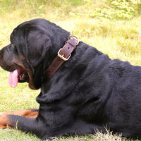 HKM-0843453 Retro Leather Dog Collar with Copper Hook for Medium to Large Breeds
