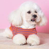 HKM-0846525 Striped Hooded Dog Sweater for Small Dogs – Casual Cotton Sportswear in Orange and Green