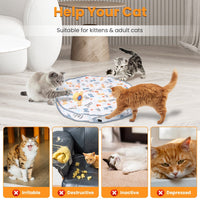 HKM-0848701 Interactive Motion-Activated Cat Toy Ball with Rechargeable Battery for Indoor Play