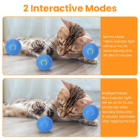 HKM-0848701 Interactive Motion-Activated Cat Toy Ball with Rechargeable Battery for Indoor Play