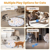 HKM-0848701 Interactive Motion-Activated Cat Toy Ball with Rechargeable Battery for Indoor Play