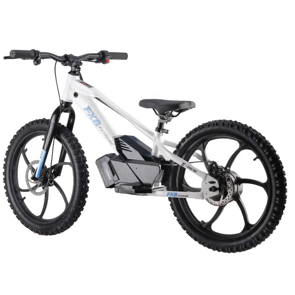 HKM-085011 20-Inch Electric Balance Bike with 2-Speed Gears and Disc Brake, Ideal for Kids Ages 5-10
