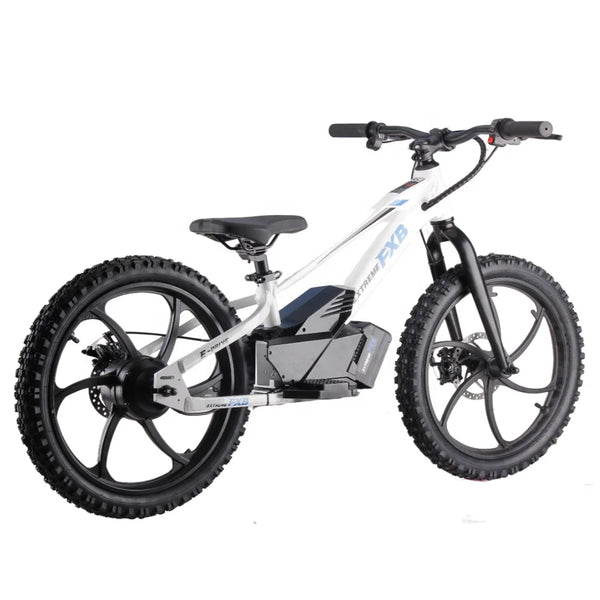HKM-8201427 16-Inch Electric Balance Bike for Kids with 350W Brushless Motor 36V Battery 3 Speeds Aluminium Frame and Disc Brake