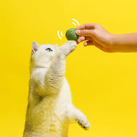 HKM-0854461 Interactive Cat Toy Balls Set - 3PCS Sisal Rope Chew Balls with Rustling Sound and Pea Pod Storage for Indoor Play