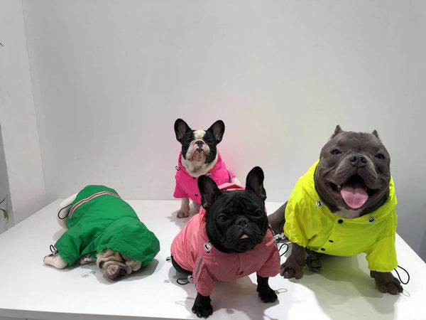 HKM-0854589 Reflective Waterproof Raincoat for Pets - Lemon Yellow & Grey, Sizes XS to XL