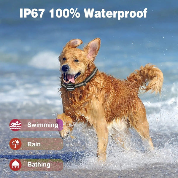 HKM-0854973 Wireless GPS Dog Training Collar with Rechargeable Waterproof Feature