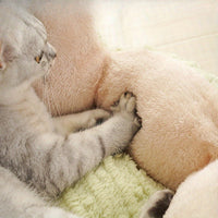 HKM-0860221 Soft and Comfortable All-Season Cactus Cat Litter Kennel for Cats and Dogs - Large and Small Sizes Available