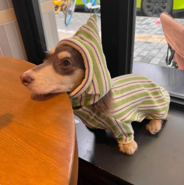 HKM-0860733 Warm Green Bubble Coat for Dogs - Cotton-Padded Vest Without Hat in Various Sizes