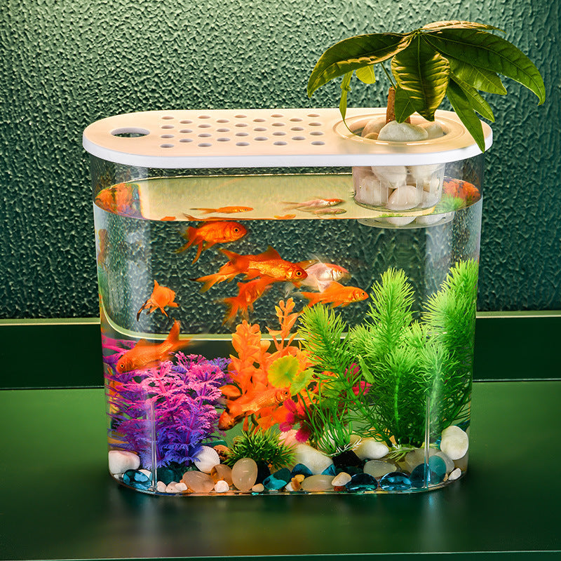 HKM-086419 Medium Acrylic Transparent Ecological Incubator for Goldfish and Hydroponics