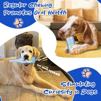HKM-0865981 Indestructible Water Bottle Dog Toy with Squeaker for Interactive Chewing and Teething Relief