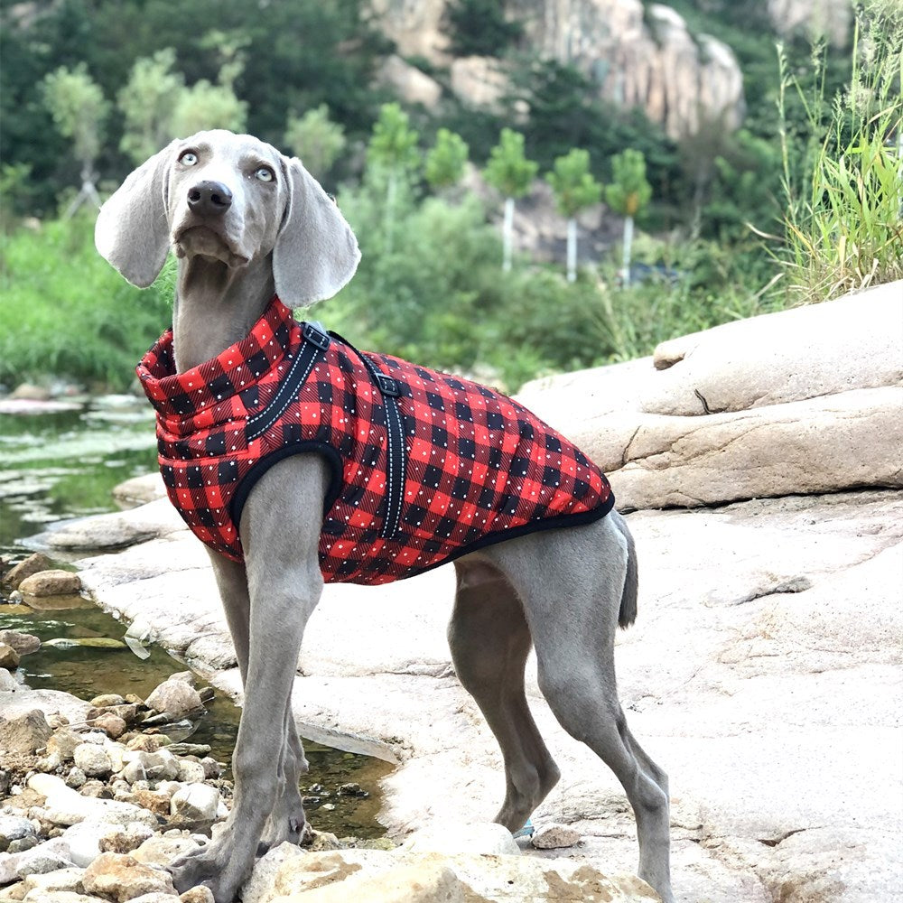HKM-0866877 Waterproof Reflective Winter Pet Coat with Chest and Back Coverage - Available in Multiple Sizes and Styles