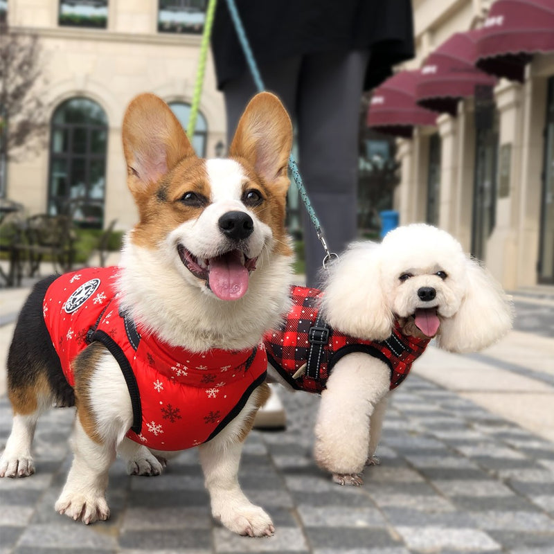 HKM-0866877 Waterproof Reflective Winter Pet Coat with Chest and Back Coverage - Available in Multiple Sizes and Styles