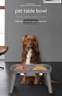 HKM-0868669 Cervical Support Leak-Proof Double Bowl for Cats and Dogs - Available in Multiple Sizes