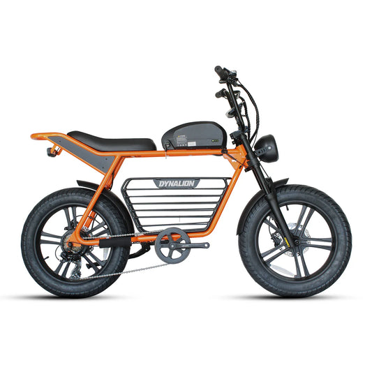 HKM-087827 48V Electric Mountain Bike with 7-Speed Gears, Aluminum Alloy Frame, and 1000W Motor, 20" Fat Tires