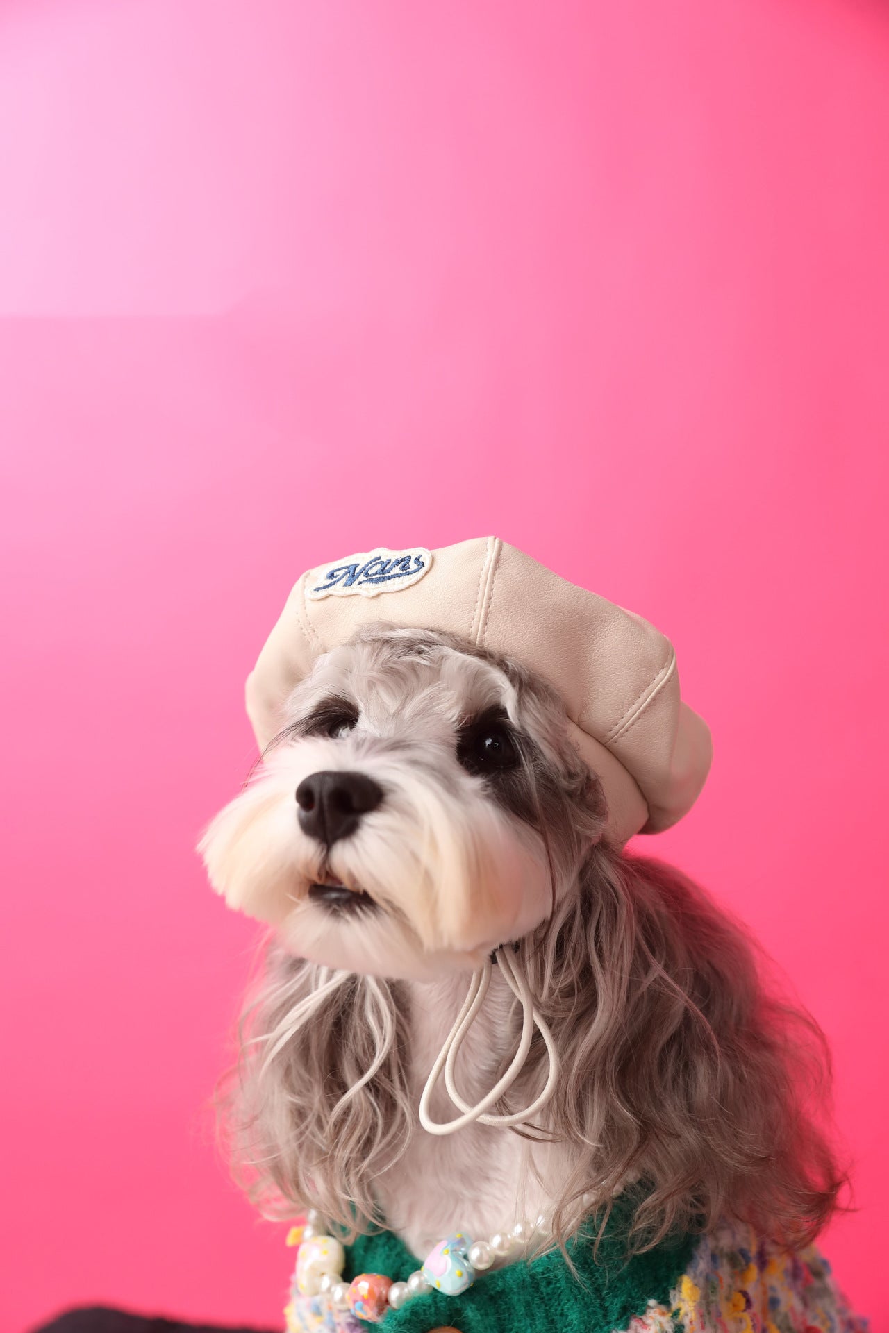 HKM-0879037 Concave Shape Dog Pumpkin Hat in Black, Beige, Red, and Brown - Fall Fashion Accessory for Pets
