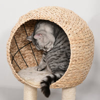 HKM-0883261 Beige Cat Tree with Sisal Scratching Post, Condo, and Multi-Level Design for Play and Relaxation