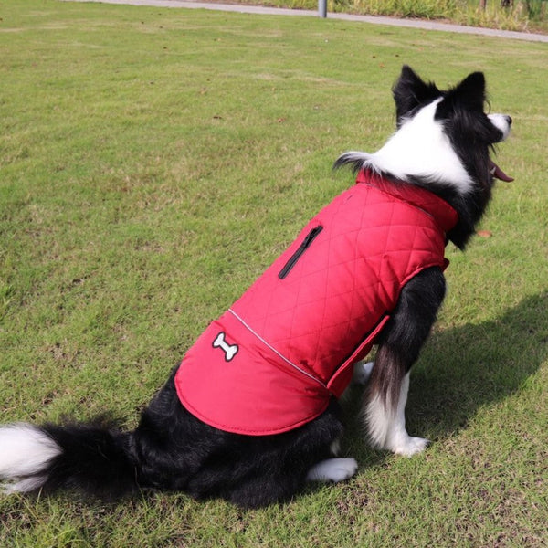 HKM-0884413 Outdoor Dog Clothes for Autumn and Winter - Casual Styles in Various Colors and Sizes