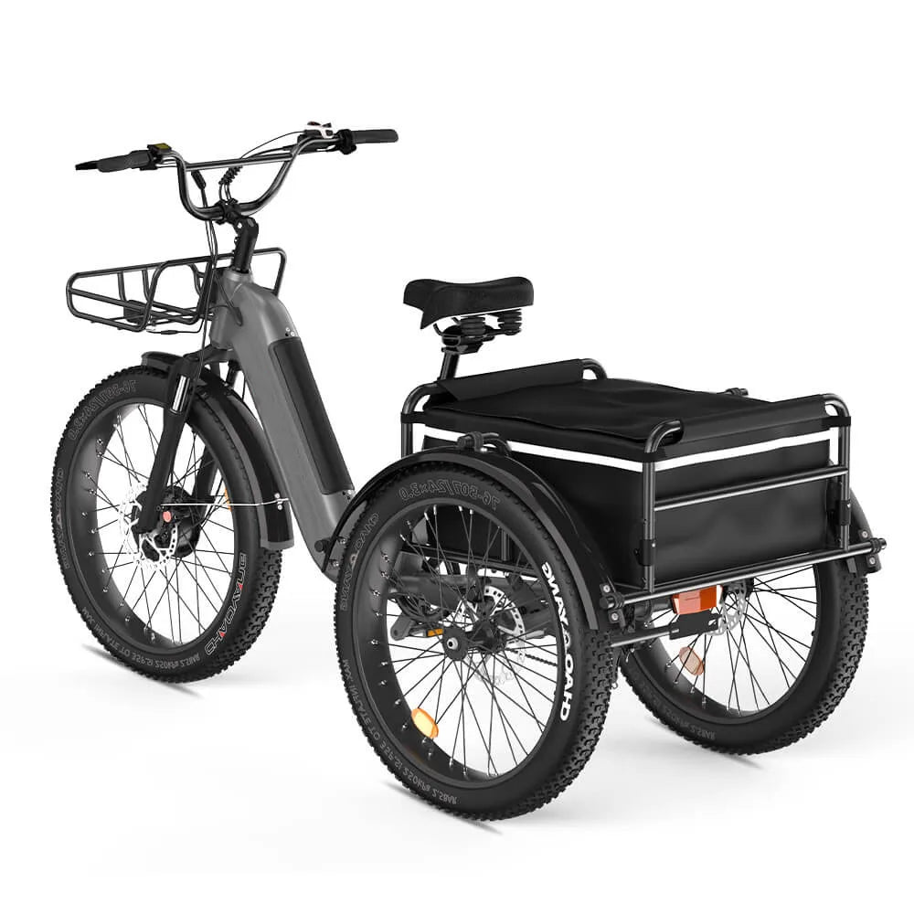 HKM-088595 750W Front Motor Electric Cargo Tricycle with Oversize Saddle and 20" Wheels