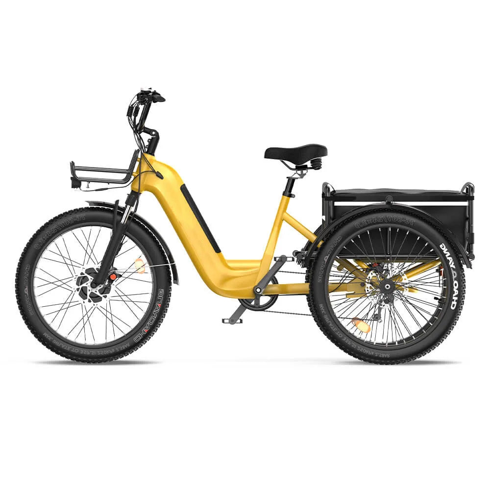 HKM-088595 750W Front Motor Electric Cargo Tricycle with Oversize Saddle and 20" Wheels