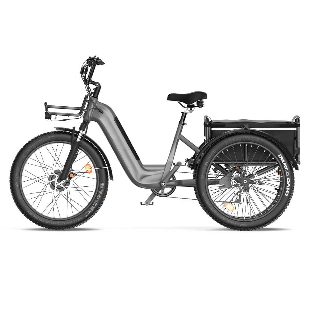HKM-088595 750W Front Motor Electric Cargo Tricycle with Oversize Saddle and 20" Wheels
