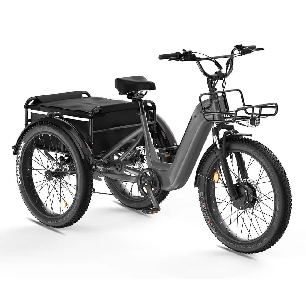 HKM-088595 750W Front Motor Electric Cargo Tricycle with Oversize Saddle and 20" Wheels