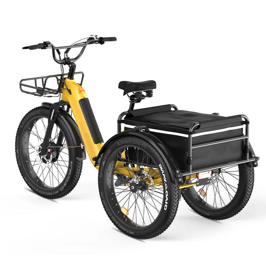 HKM-088595 750W Front Motor Electric Cargo Tricycle with Oversize Saddle and 20" Wheels