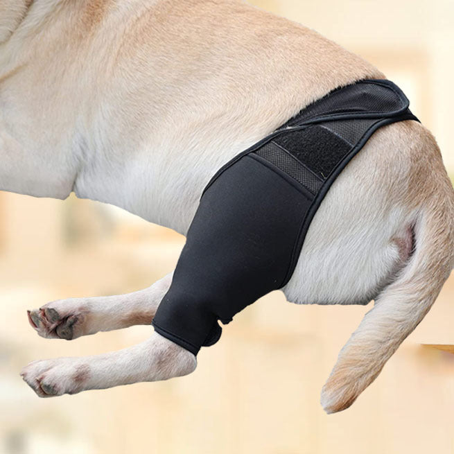 HKM-0887229 Pet Thigh Protective Sleeve for Surgical Recovery - Neoprene Joint Leggings in Multiple Sizes