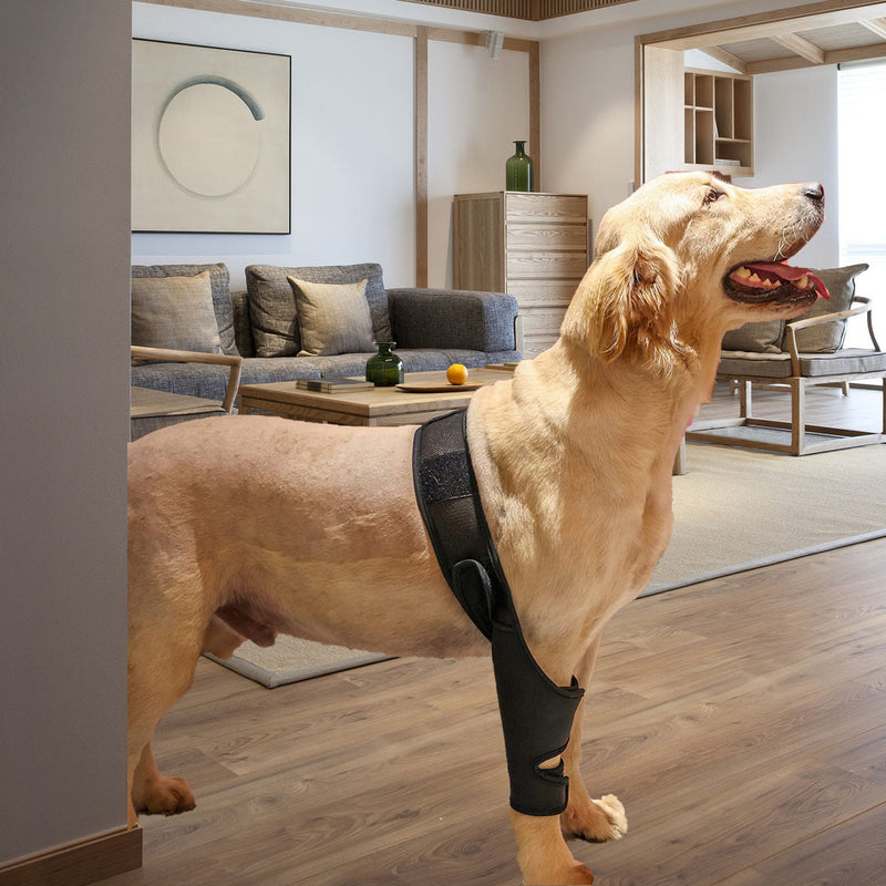 HKM-0887229 Pet Thigh Protective Sleeve for Surgical Recovery - Neoprene Joint Leggings in Multiple Sizes
