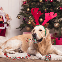 HKM-0888381 Set of 5 Holiday-Themed Dog Rope Chew Toys for Interactive Play and Dental Health