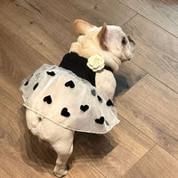 HKM-0890301 Casual Black Printed Skirt for Dogs in Multiple Sizes