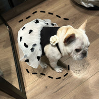 HKM-0890301 Casual Black Printed Skirt for Dogs in Multiple Sizes