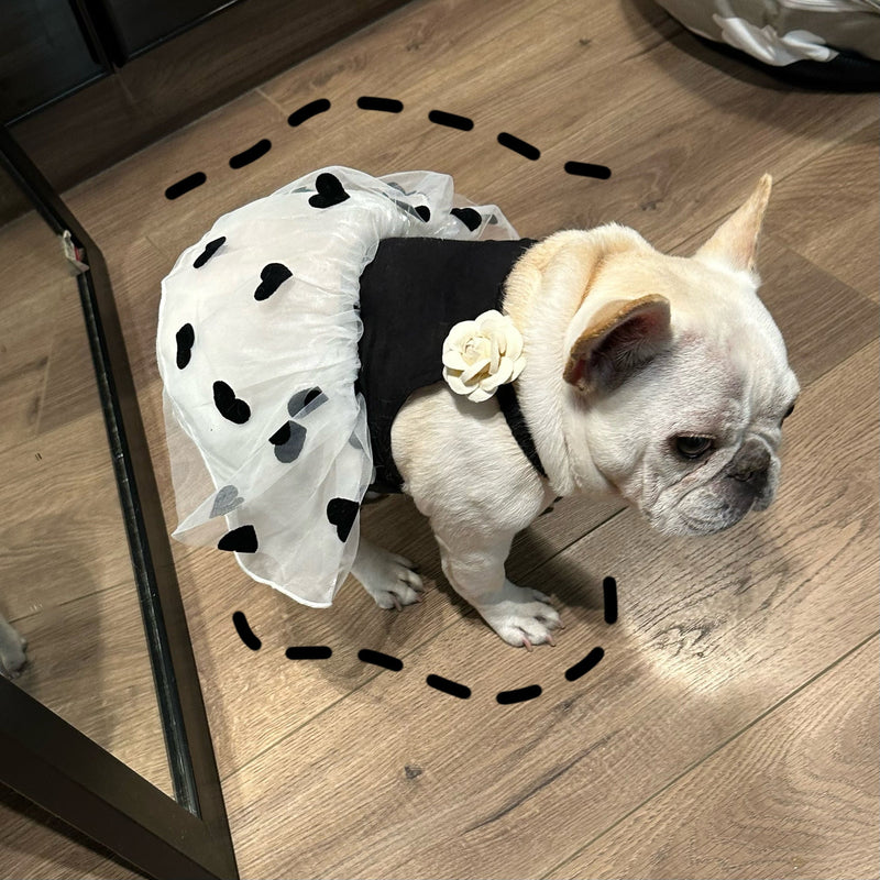 HKM-0890301 Casual Black Printed Skirt for Dogs in Multiple Sizes