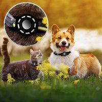 HKM-0897469 Airtag-Compatible Protective Sleeve for Pet Collars - Fashionable Silicone Design