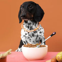 HKM-0904509 Stainless Steel Dog & Cat Food Spoons with Long Handle - 2 Pack in White & Black with Cute Paw Print Design
